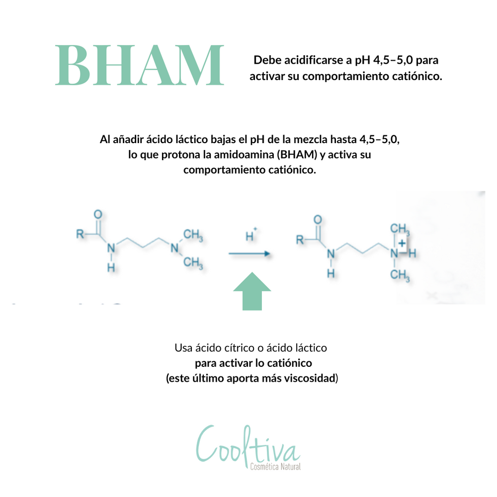 Behenamidopropyl Dimethylamine  (Emulsionante + Bio)