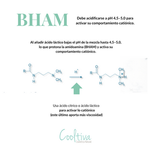 Behenamidopropyl Dimethylamine  (Emulsionante + Bio)