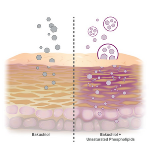 BAKULIPID (Bakuchiol Liposomado)