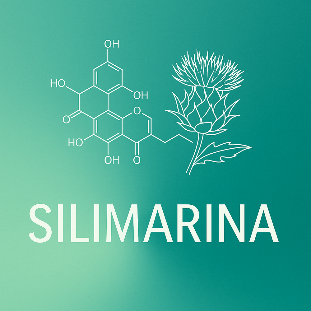 Silimarina  (Defensa Celular y Antioxidante)