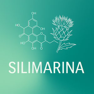 Silimarina  (Defensa Celular y Antioxidante)