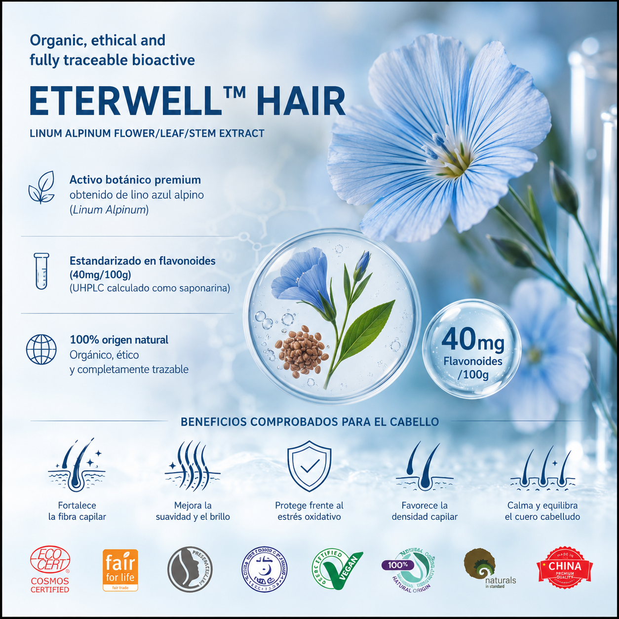 Eterwell Hair