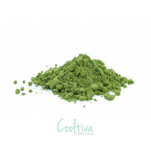 Chlorella