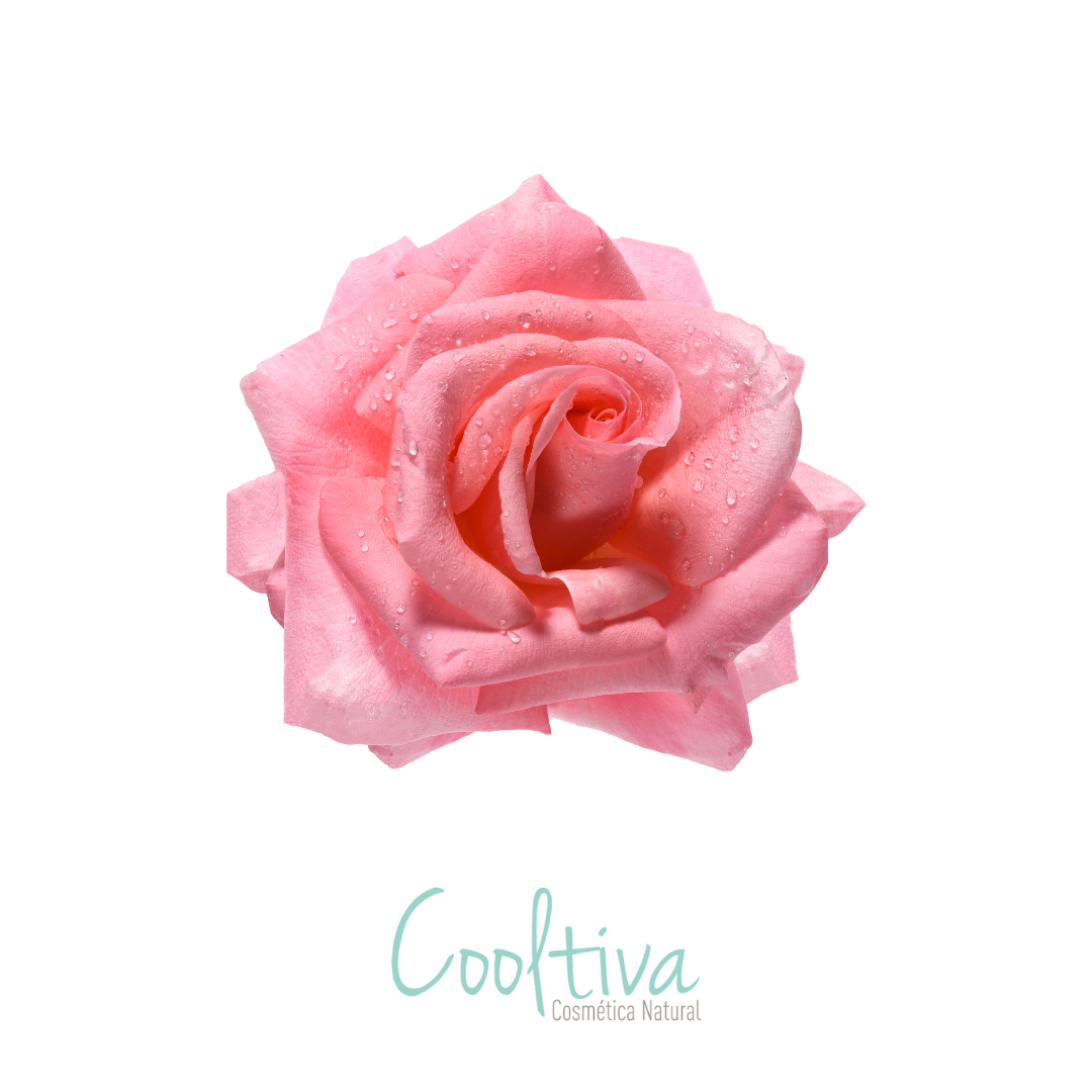Aroma Rosa de L'occitane