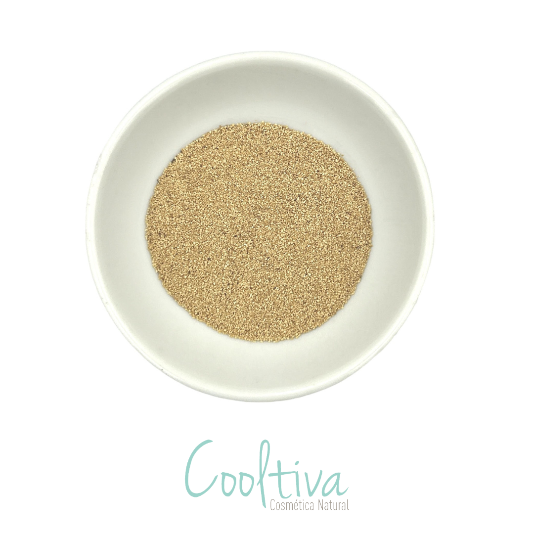 Exfo - Olive Cuerpo