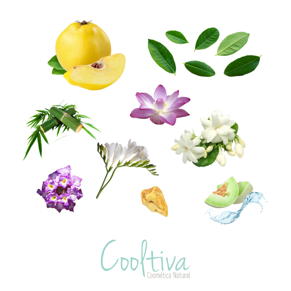 Aroma Floralia