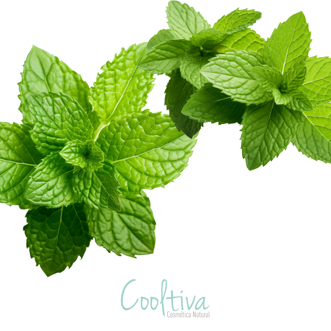 Aroma Menta