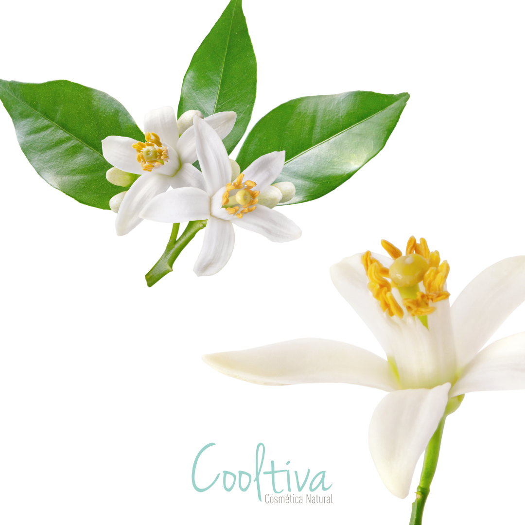 Aroma Neroli