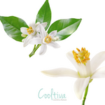 Aroma Neroli