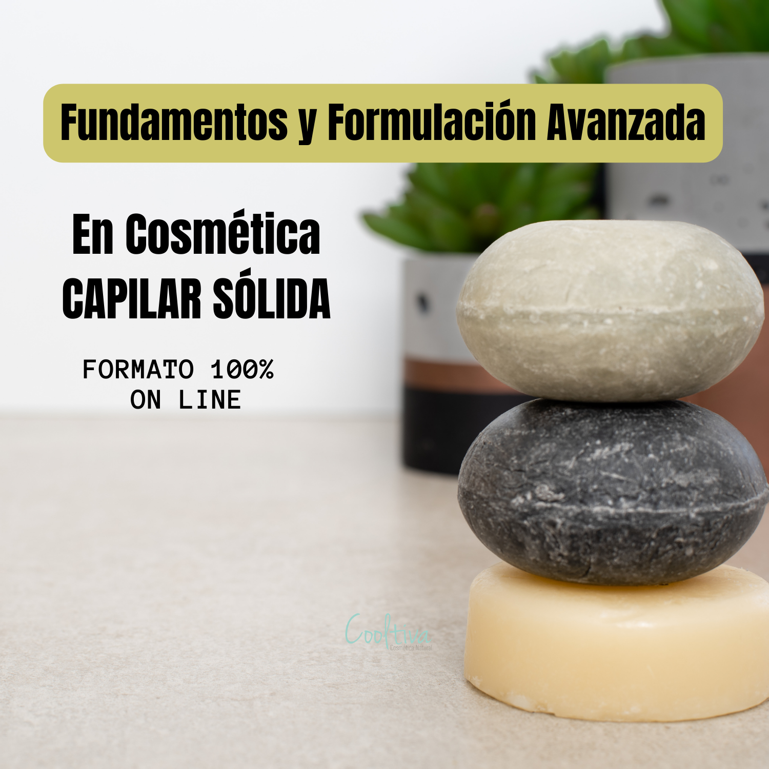 Curso Fundamentos y Formulación Avanzada en Cosmética CAPILAR SÓLIDA (ON LINE 100%)