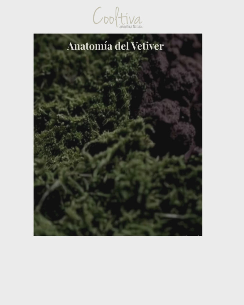 
                
                    Cargar y reproducir el video en el visor de la galería, Vetiver F-TEC
                
            