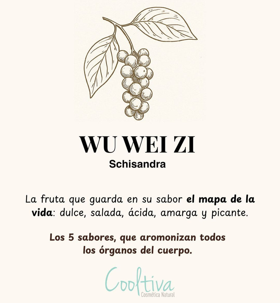 Schisandra Powder – Grado Cosmético & Nutracéutico