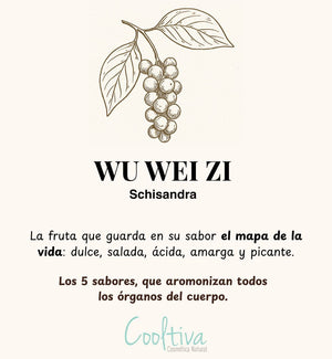 Schisandra Powder – Grado Cosmético & Nutracéutico