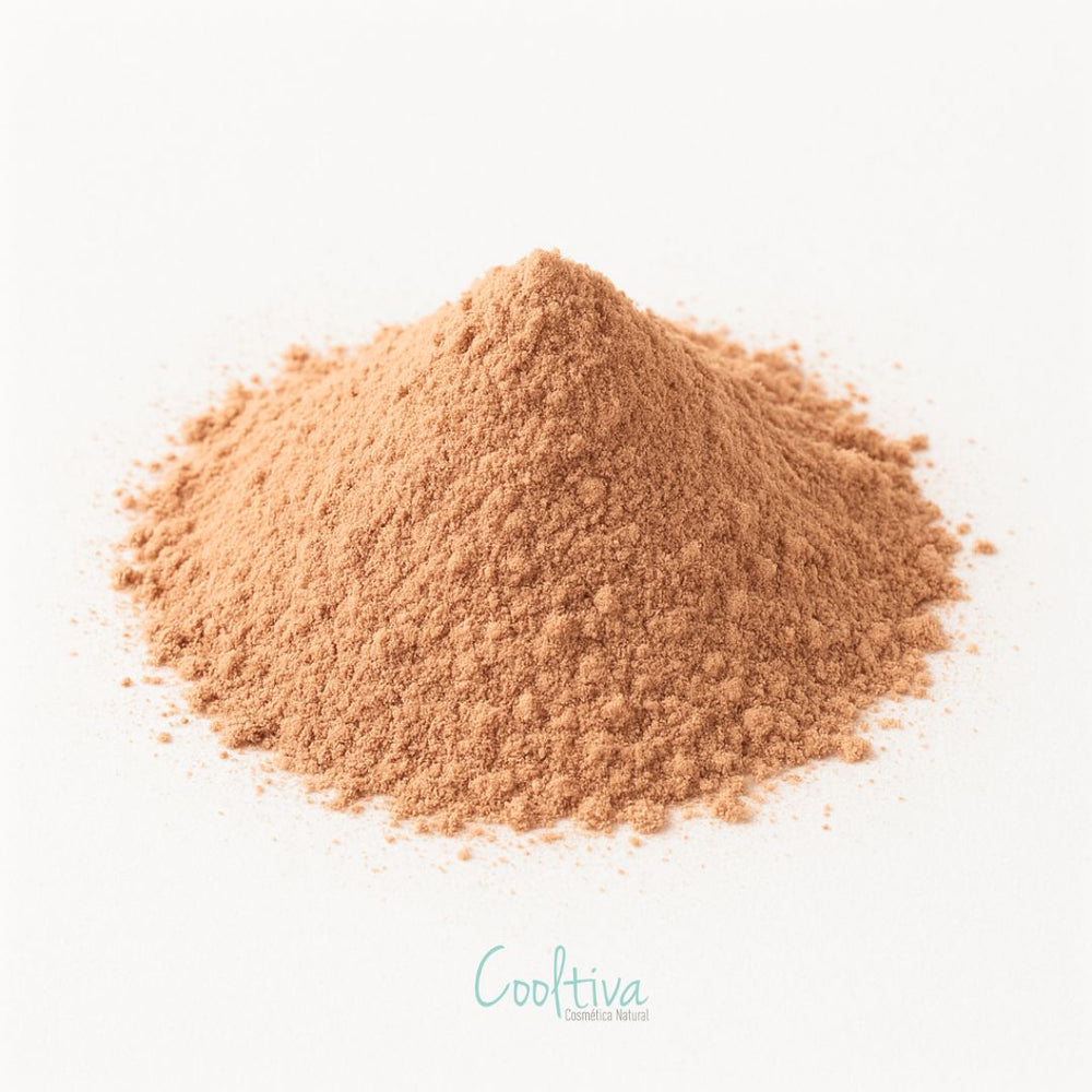 Schisandra Powder – Grado Cosmético & Nutracéutico